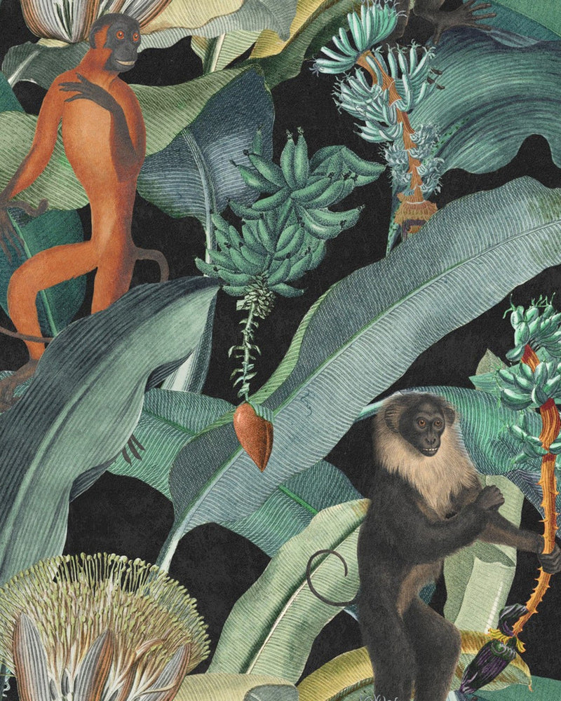 Mind The Gap - BERMUDA Wallpaper - WP20162