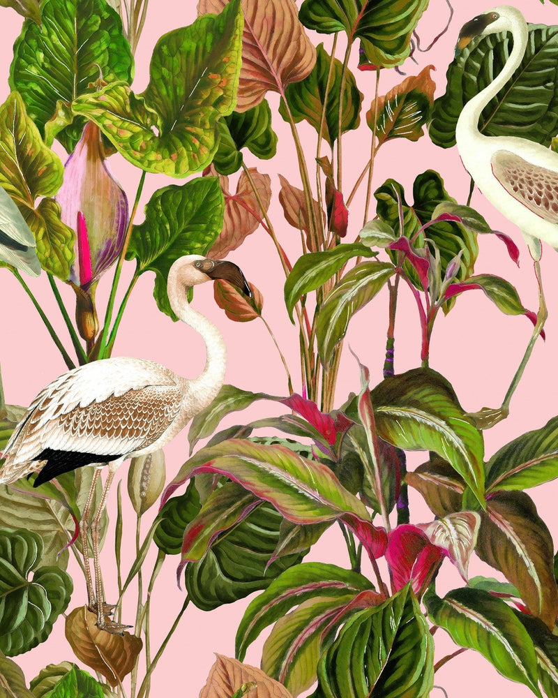 Mind The Gap - BEVERLY HILLS Pink Wallpaper - WP20359