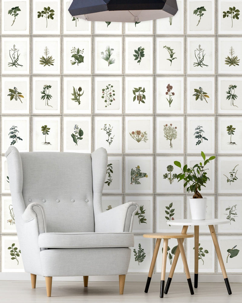 Mind The Gap - BOTANY Wallpaper - WP20153