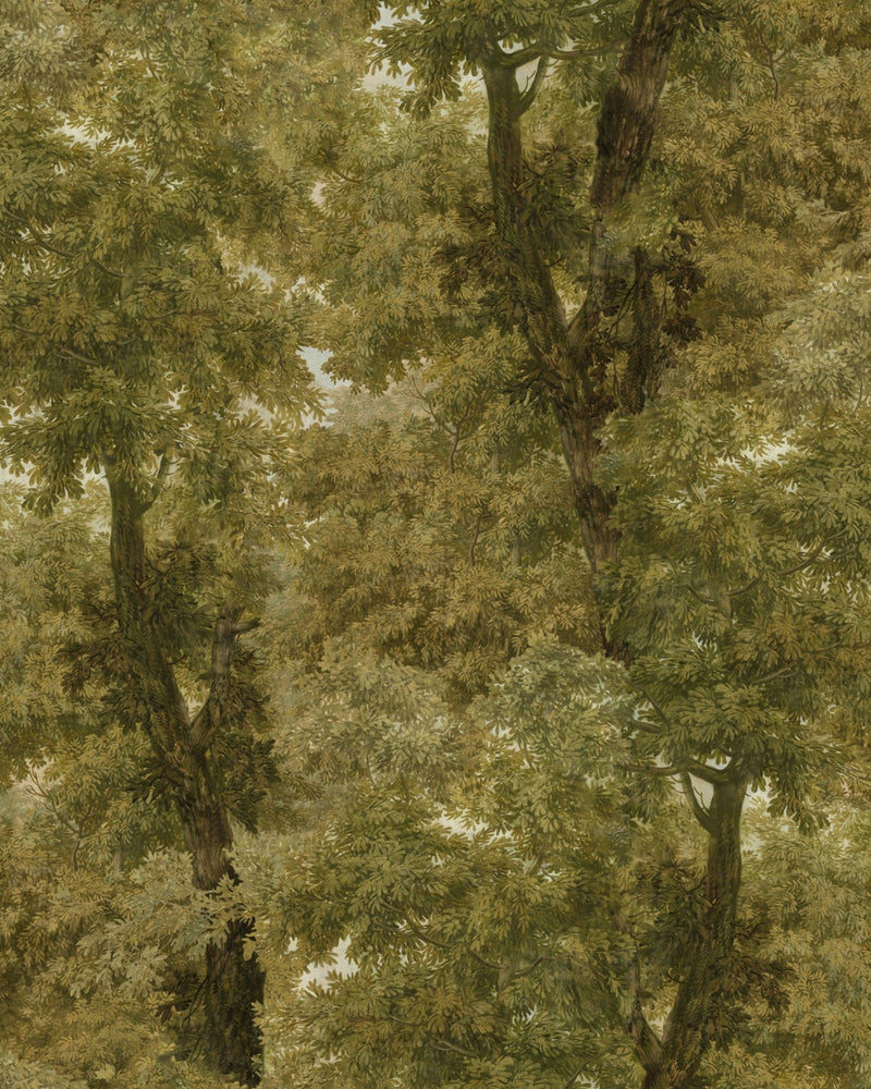 Mind The Gap - BRANCHY Autumn Wallpaper - WP20784