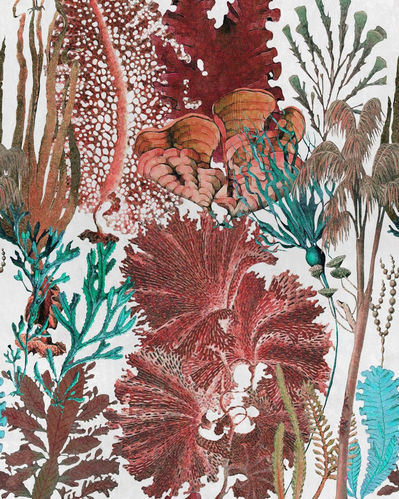 Mind The Gap - CORAL REEF Wallpaper - WP20299