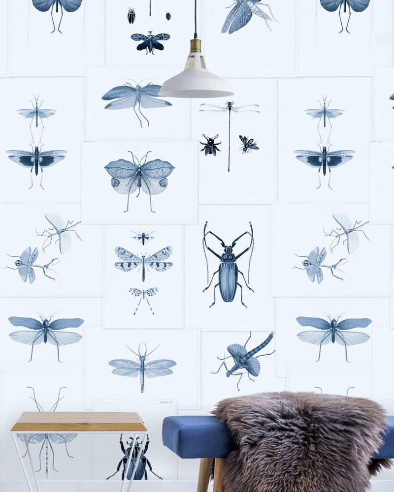 Mind The Gap - ENTOMOLOGY Blue Wallpaper - WP20235