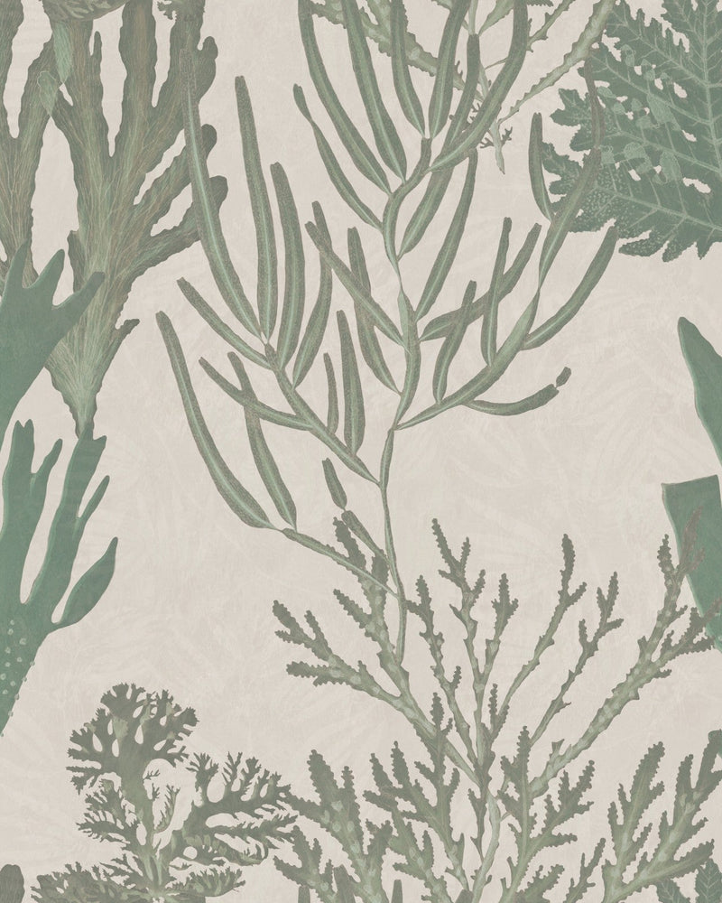 Mind The Gap - LIGHT CORALS Wallpaper - WP20300