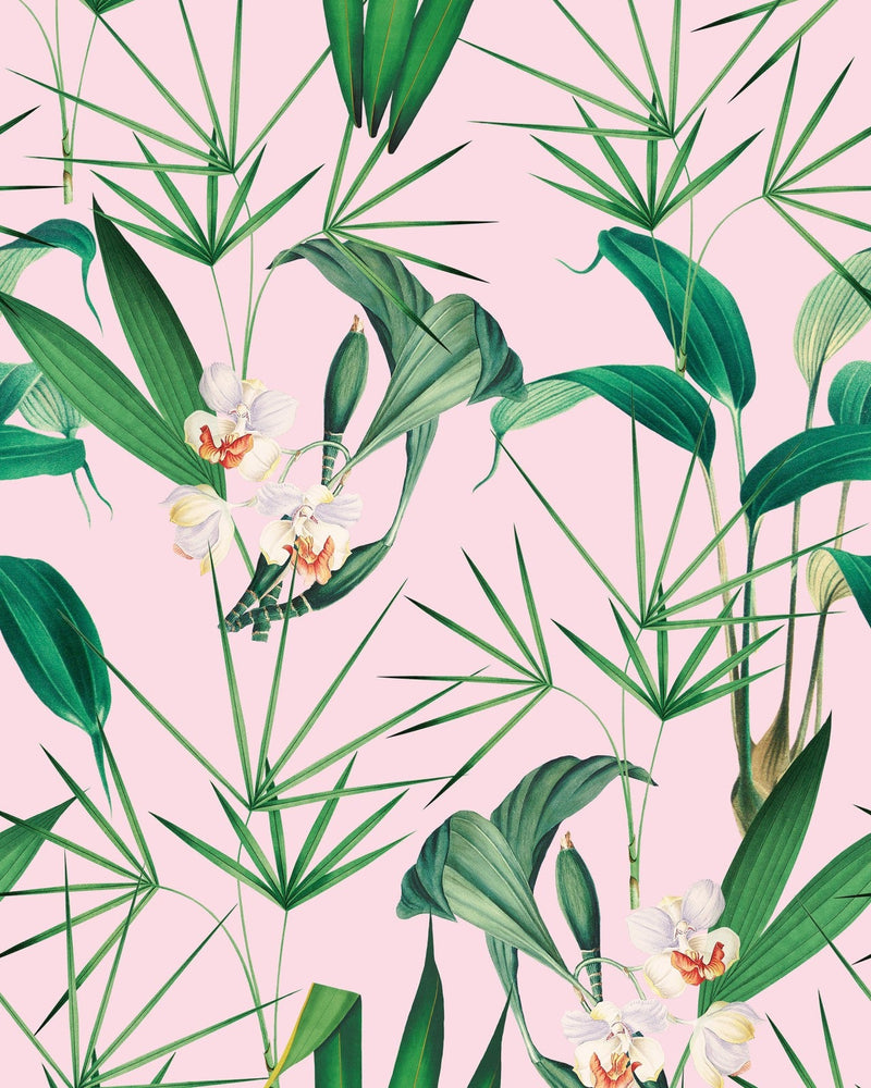 Mind The Gap - PALM SPRINGS Wallpaper - WP20361