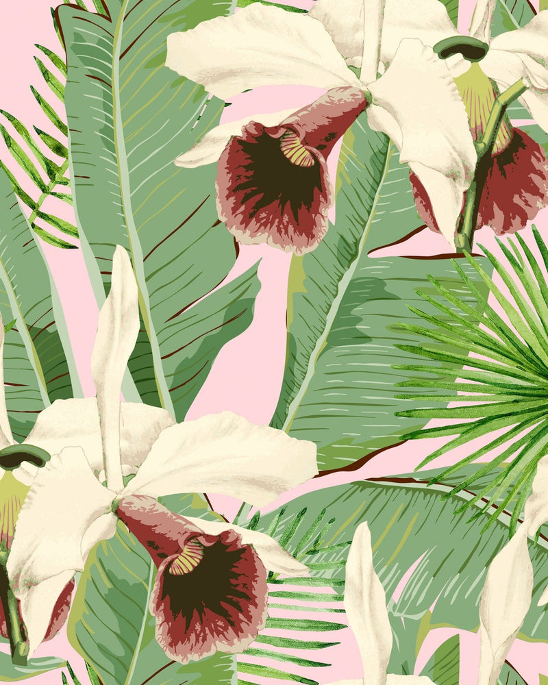 Mind The Gap - TREASURE ISLAND Pink Wallpaper - WP20365