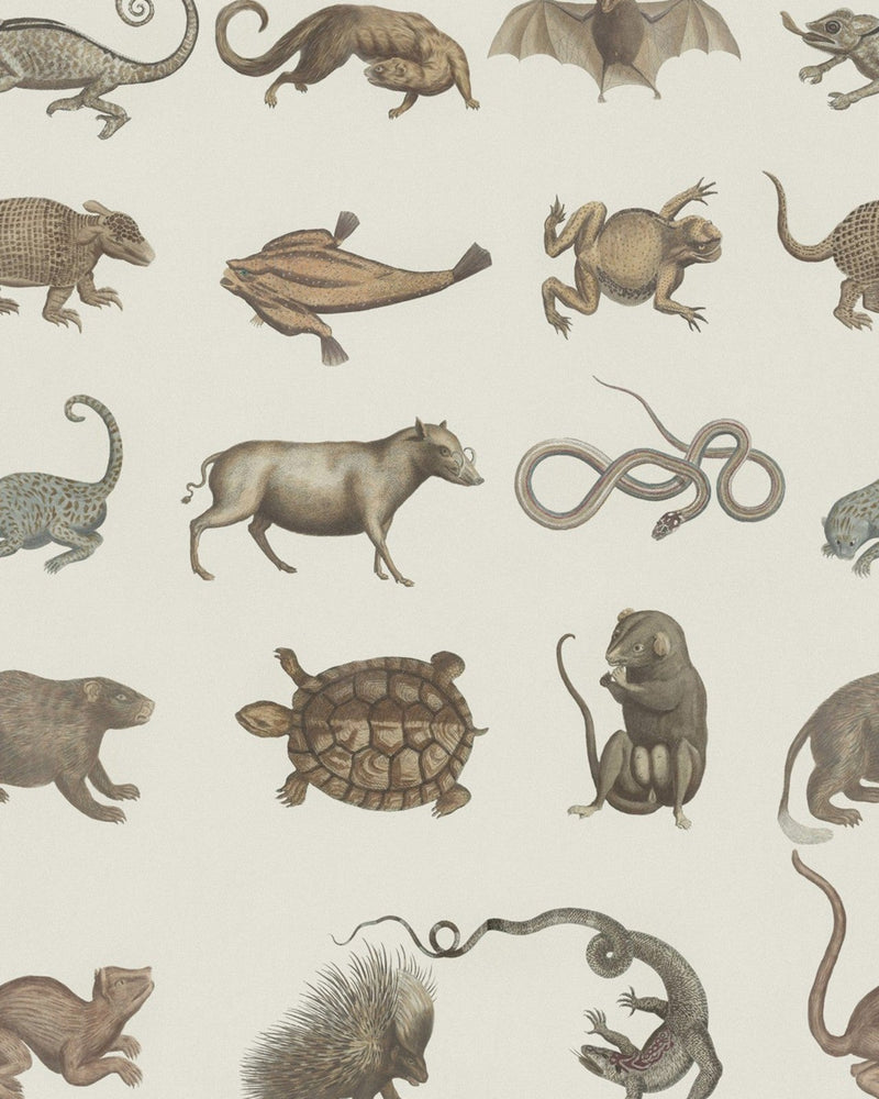 Mind The Gap - ARK OF SEBA Premium Wallpaper - WP20001