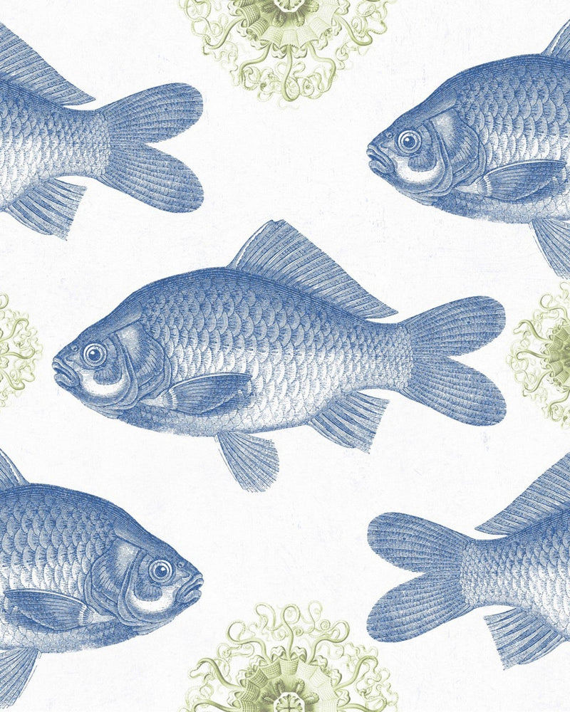 Mind The Gap - FISH Blue Wallpaper - WP20009