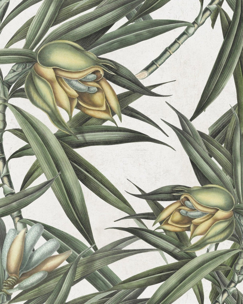 Mind The Gap - EXOTIC FRUIT II Wallpaper - WP20098