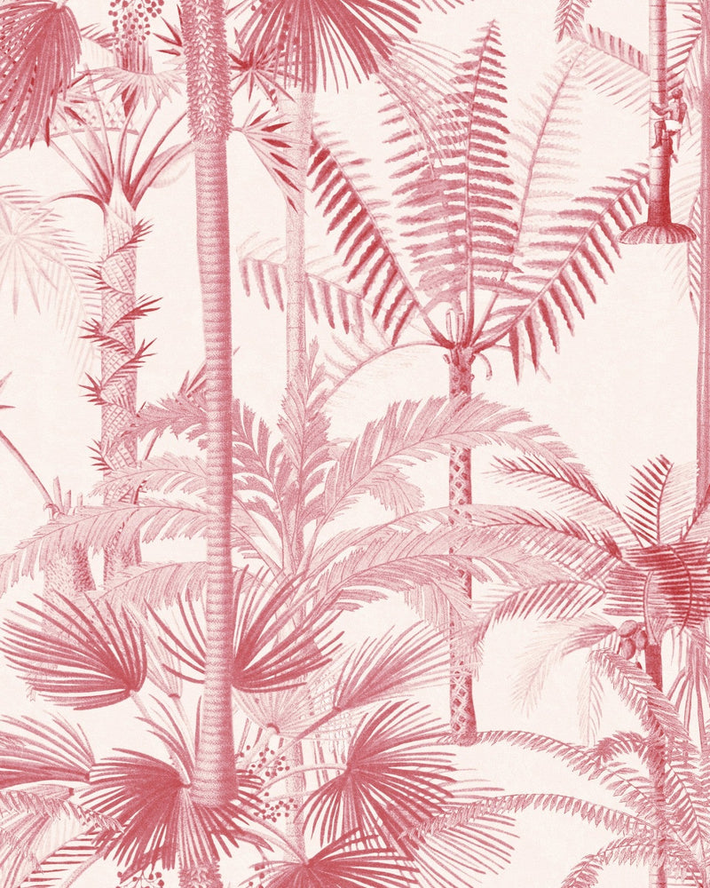 Mind The Gap - PALMERA CUBANA Pink Wallpaper - WP20497