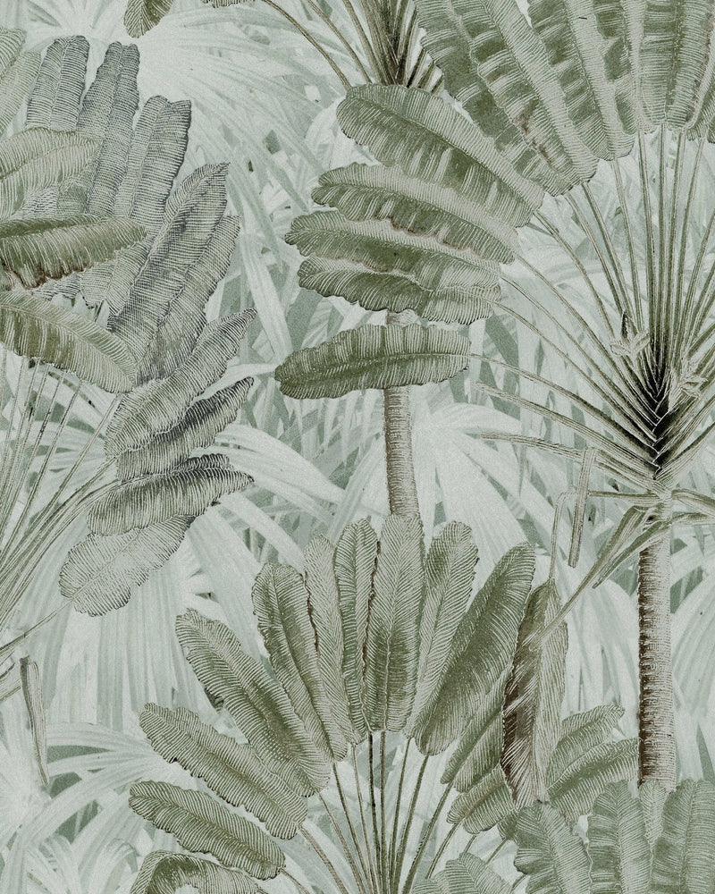 Mind The Gap - TRAVELLER'S PALM Neutral Wallpaper - WP20525