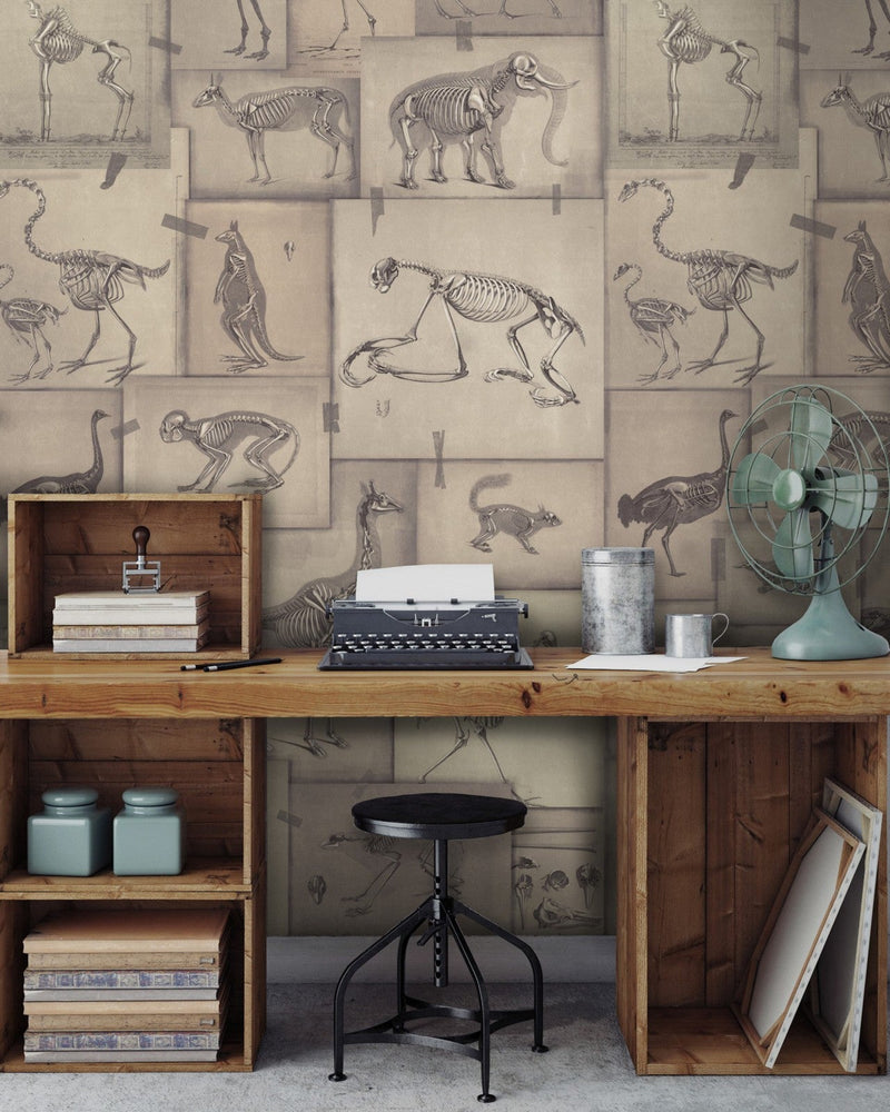 Mind The Gap - ZOOARCHAEOLOGY Wallpaper - WP20236